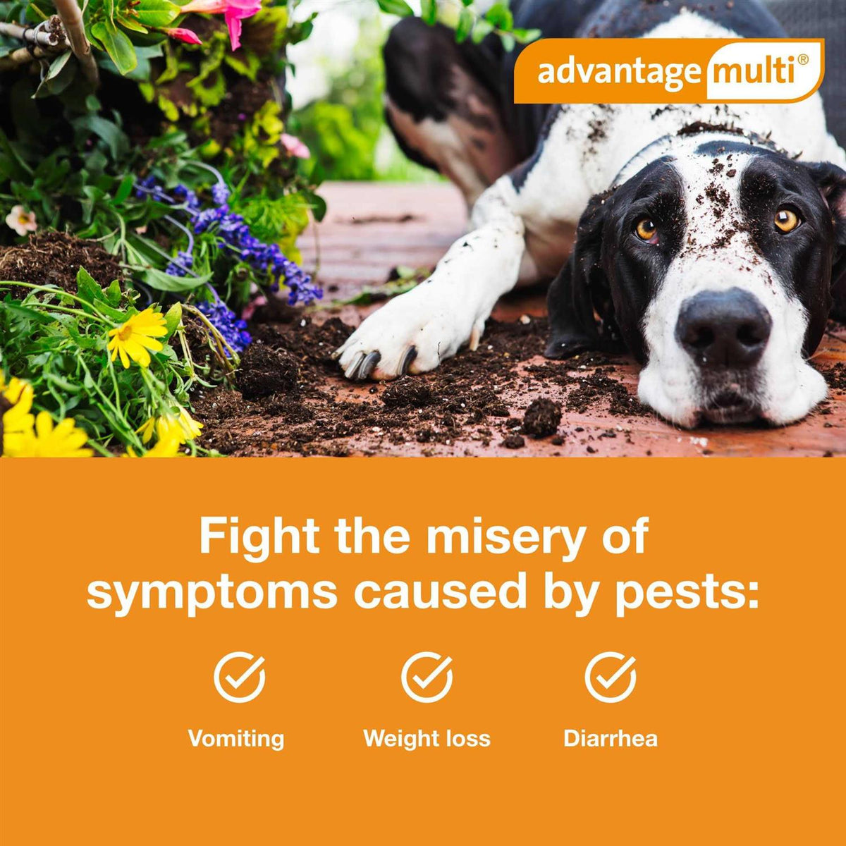 Advantage Multi for Dogs S859