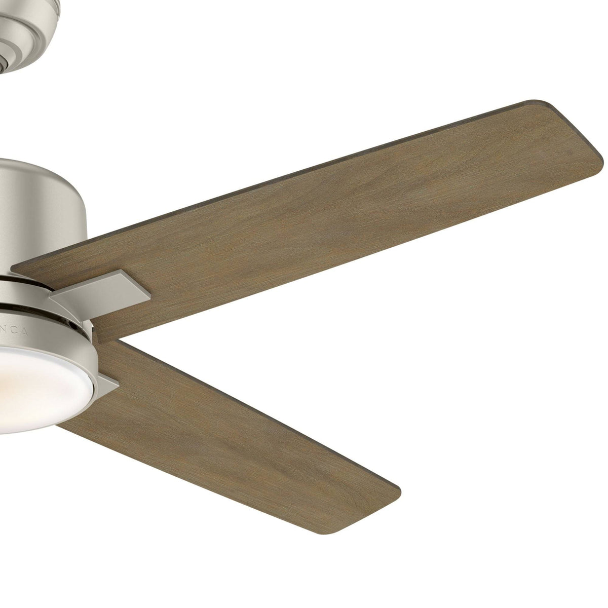 Ceiling Fan P101467
