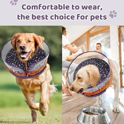 Inflatable Donut Collar for Dogs Y2067