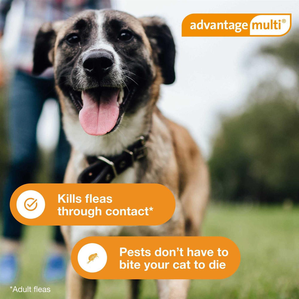 Advantage Multi for Dogs S859