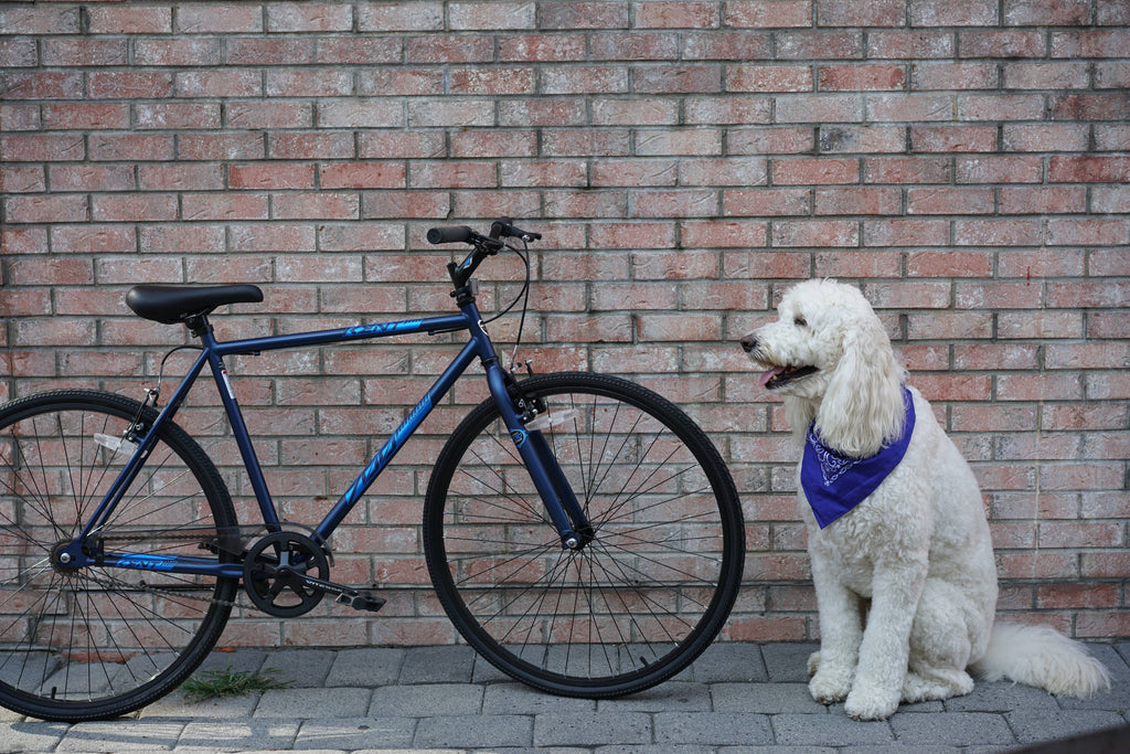 Blue 700c Fixie Bike U964729