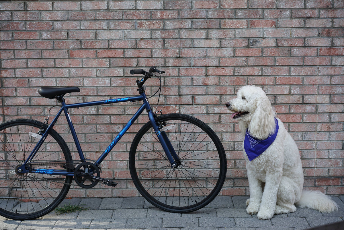 Blue 700c Fixie Bike U964729