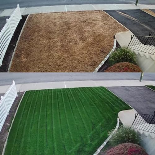 Turf Type Tall Fescue Grass Seed (10 lbs) U388