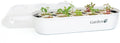 Indoor Garden Seed Starter Tray for Hydroponic Growing Systems O27503