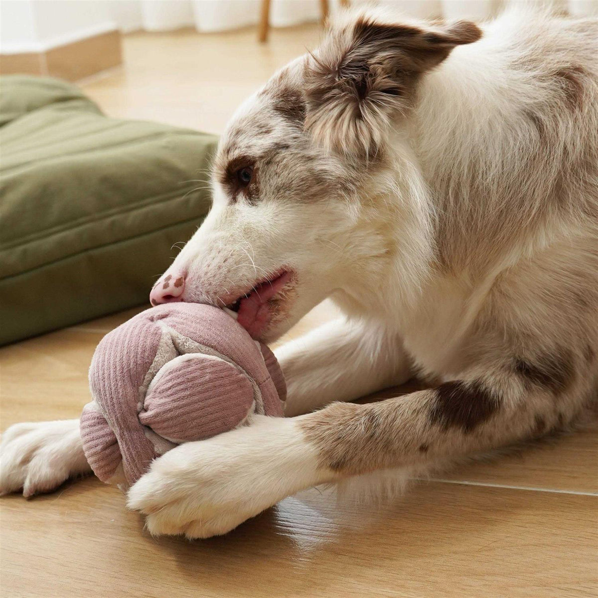 Dog Toy G516399