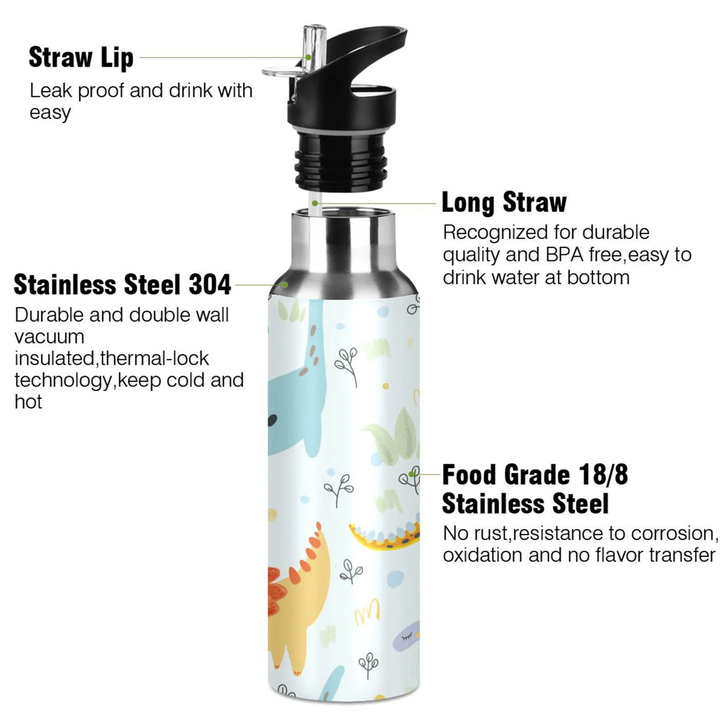 Stainless Steel Insulated Water Bottle with Straw Lid X2005