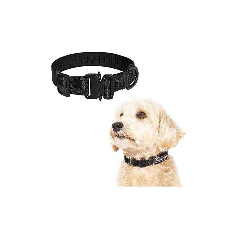Utility Dog Collar E2121