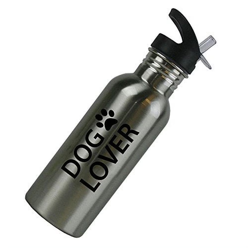Stainless Steel Silver 20 Oz Water Bottle with Sport Top, Straw Z55930