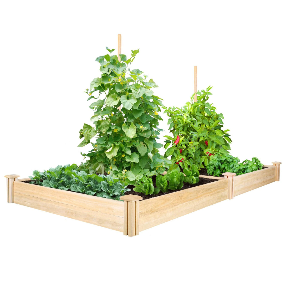 Cedar Raised Garden Bed Q649224