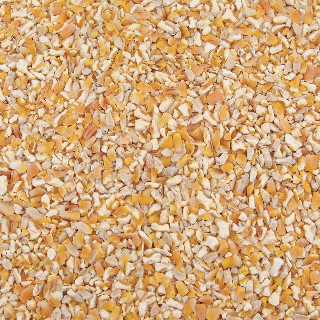 Corn U705956