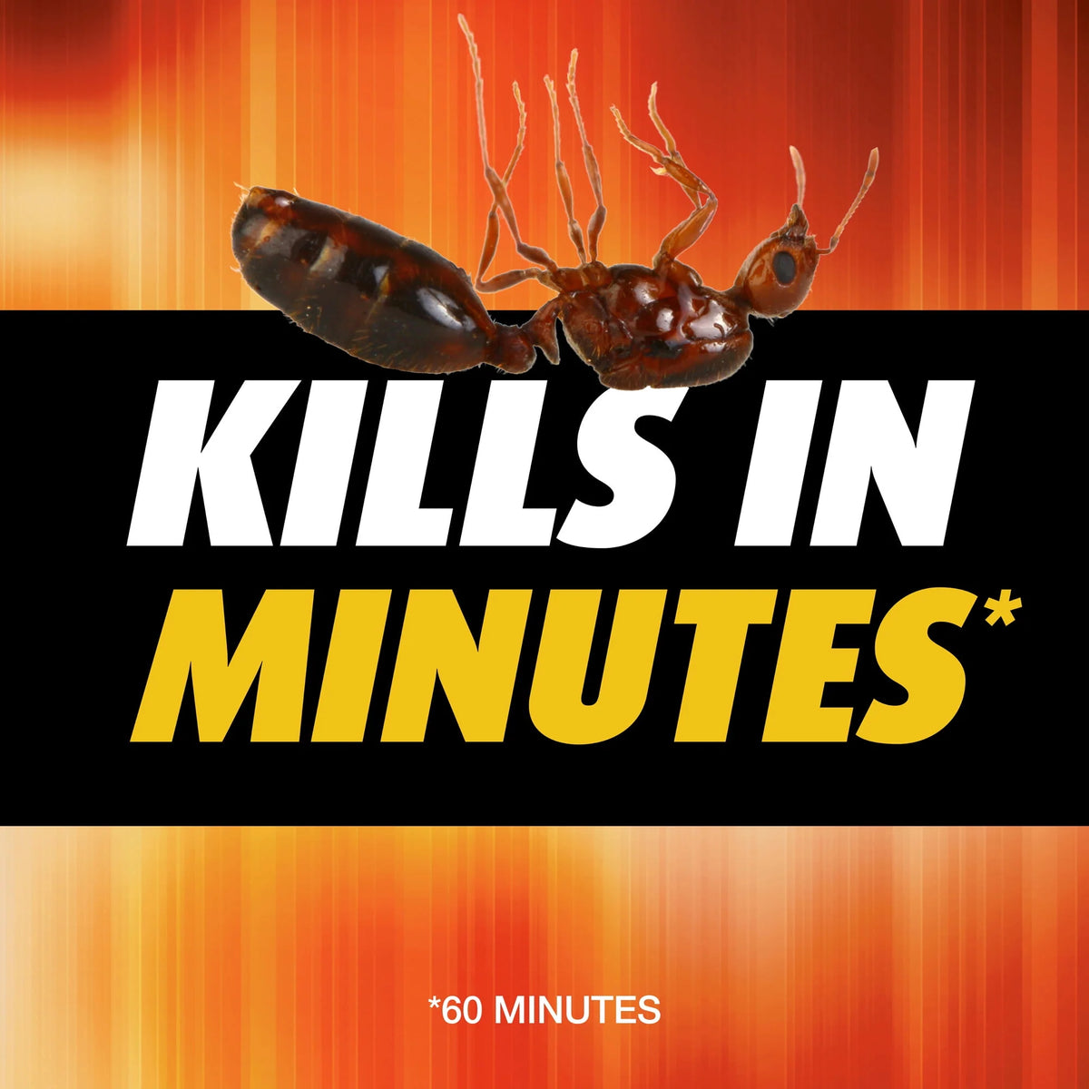Fire Ant Killer 12 oz J891