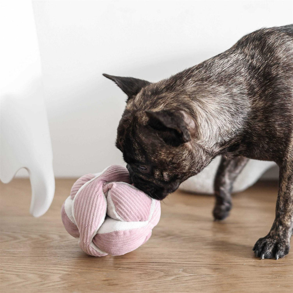 Dog Toy G516399