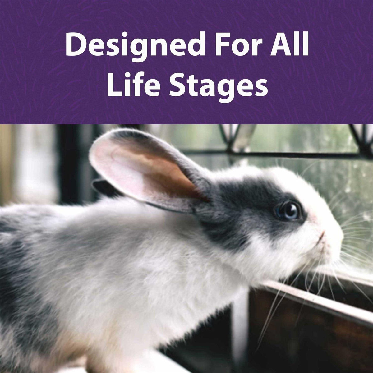Timothy Based Rabbit Diet I9308