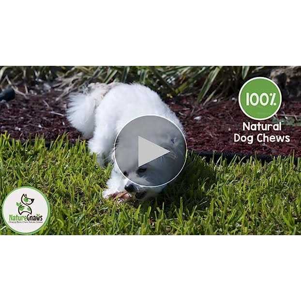 Natural Dog Chews Variety Pack K103