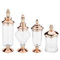 Glass 4 Piece Apothecary Jar Set T407672