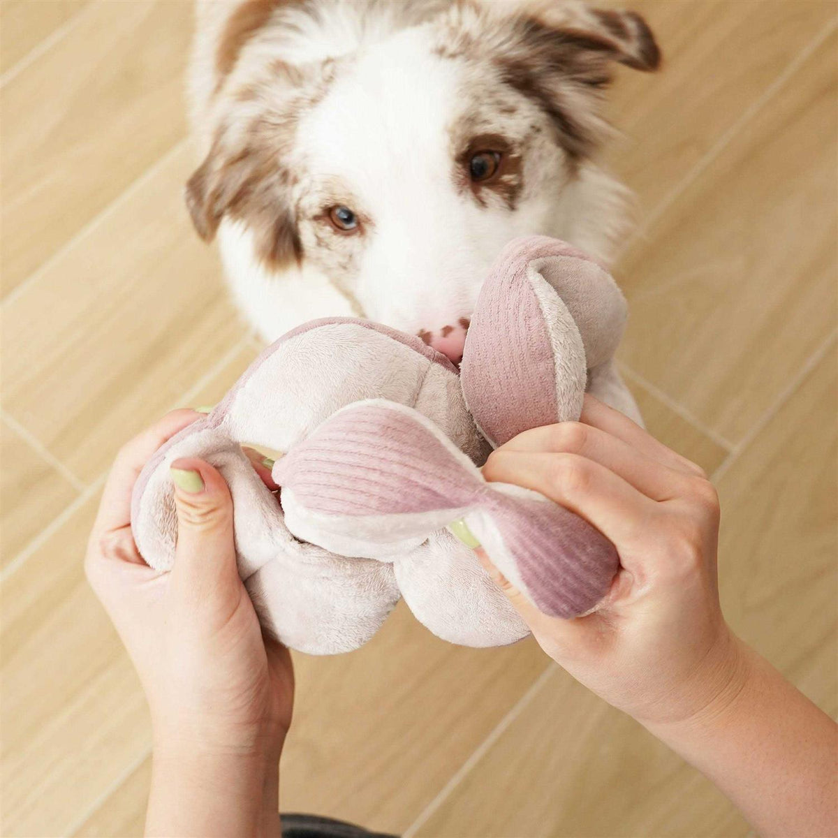 Dog Toy G516399