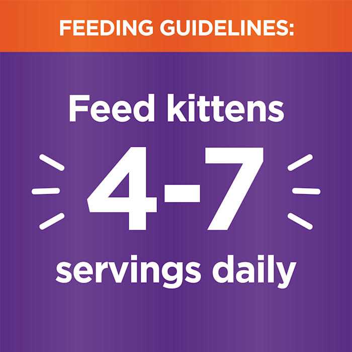 Cat Food Y633087