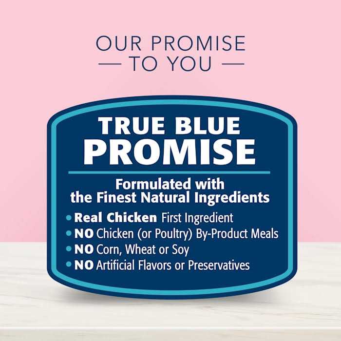 Adult Wet Cat Food R47104