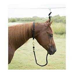 Pet Neck Collar F9261