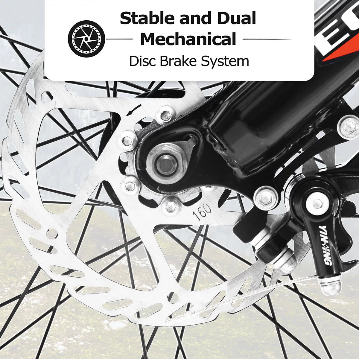 24 Inch Fat Tire Bike 7 Speeds Dual Disc Brake High-Carbon Steel Frame W86094
