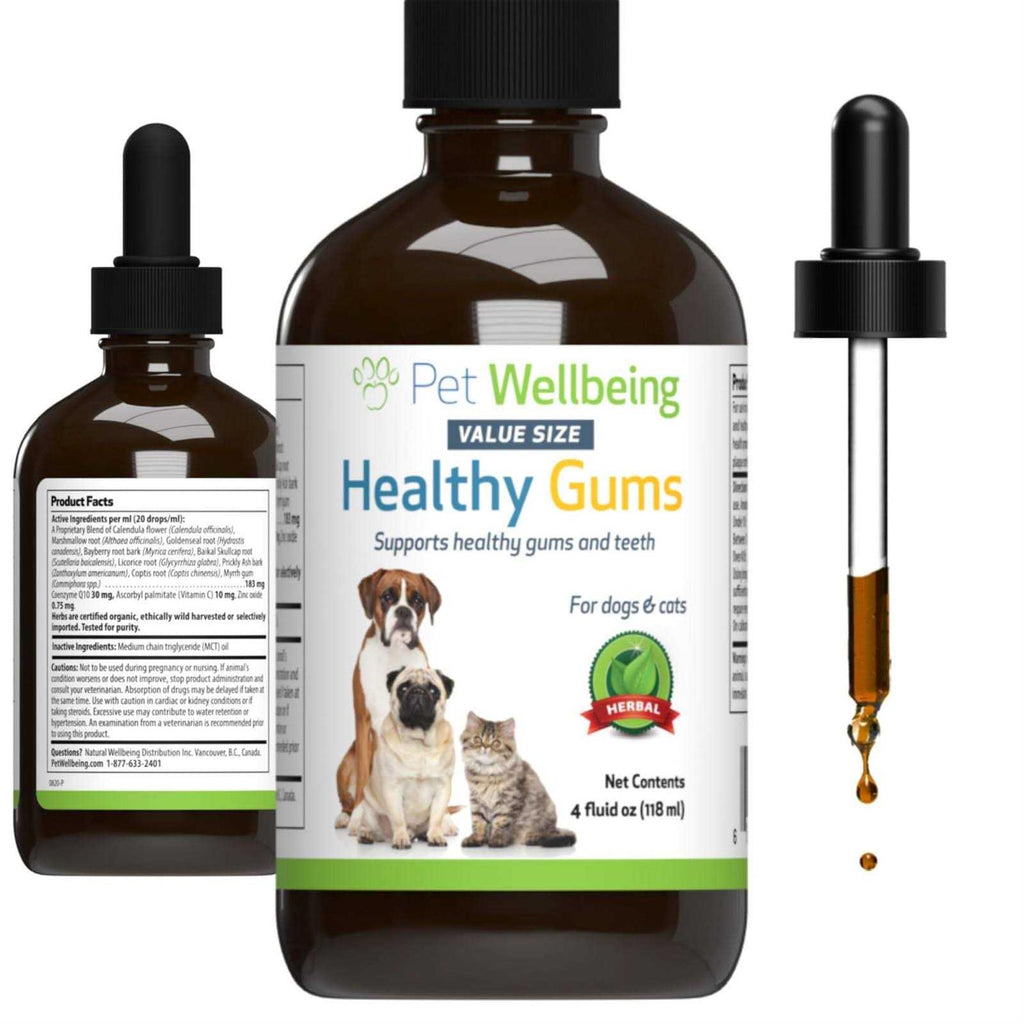 Healthy Gums for Feline Periodontal Health C8222