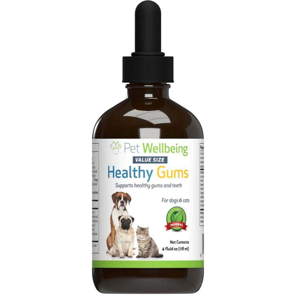 Healthy Gums for Feline Periodontal Health C8222
