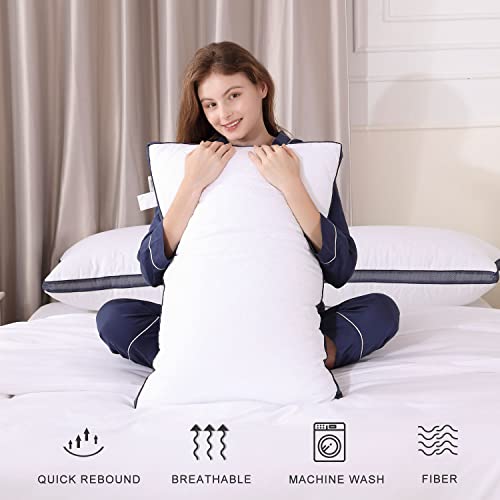 King Size Bed Pillows Set of 2 F886