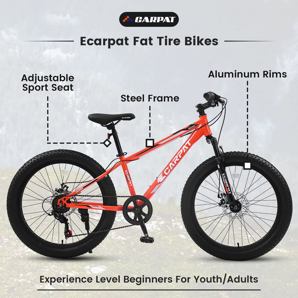 24 Inch Fat Tire Bike 7 Speeds Dual Disc Brake High-Carbon Steel Frame W86094