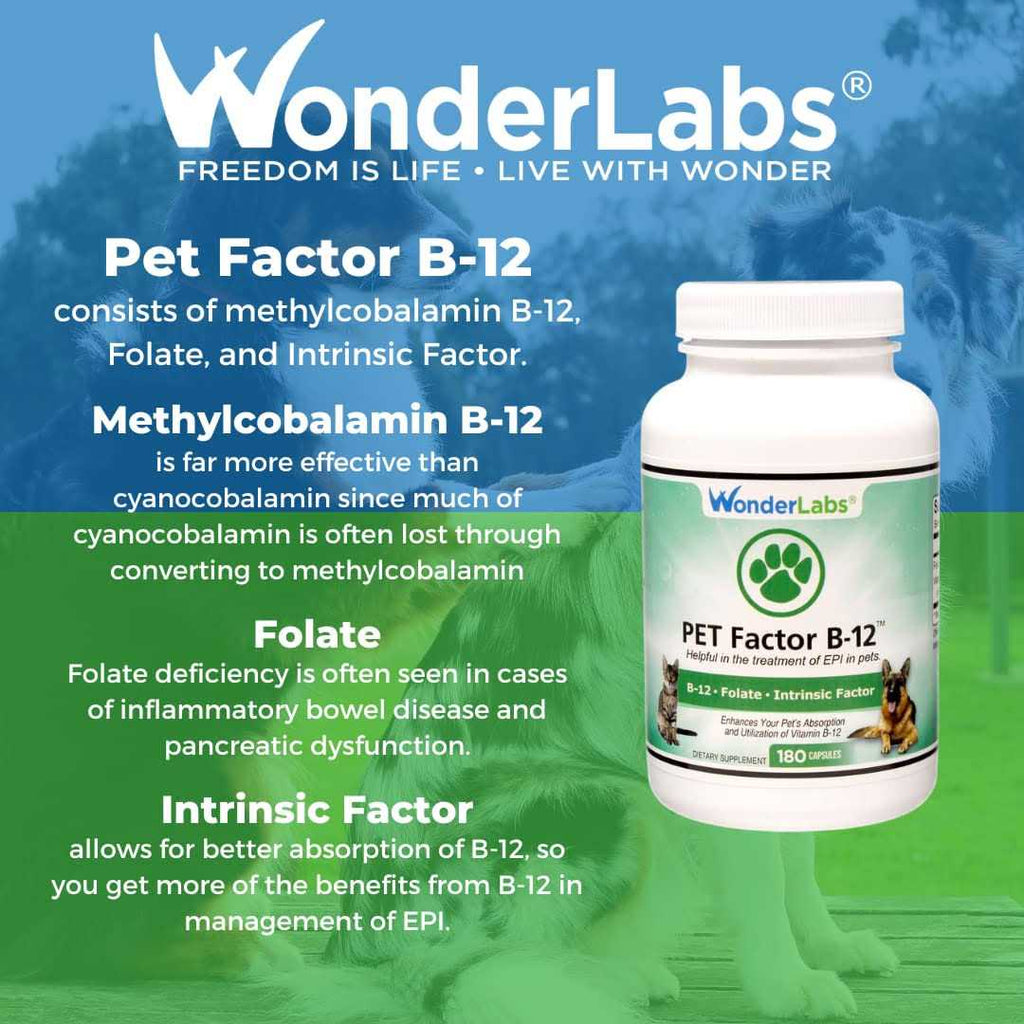 Pet Factor B-12 I90120